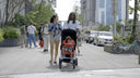 Triplet Stroller