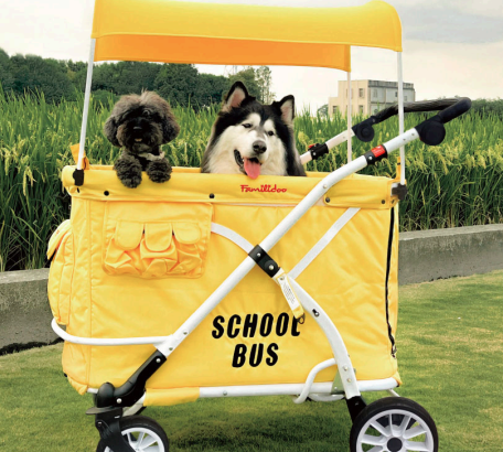 Wagon