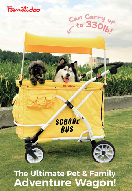 Wagon