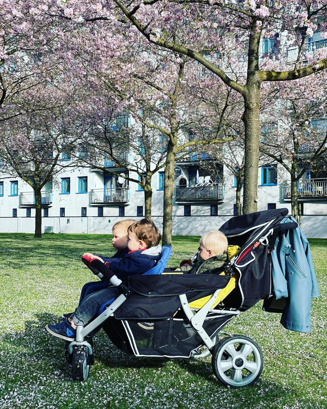 Strollers for Newborns