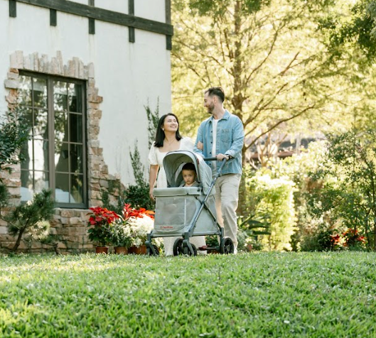 Best Baby Wagon Stroller