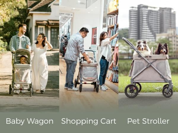 Q1 Multi-Use Wagon