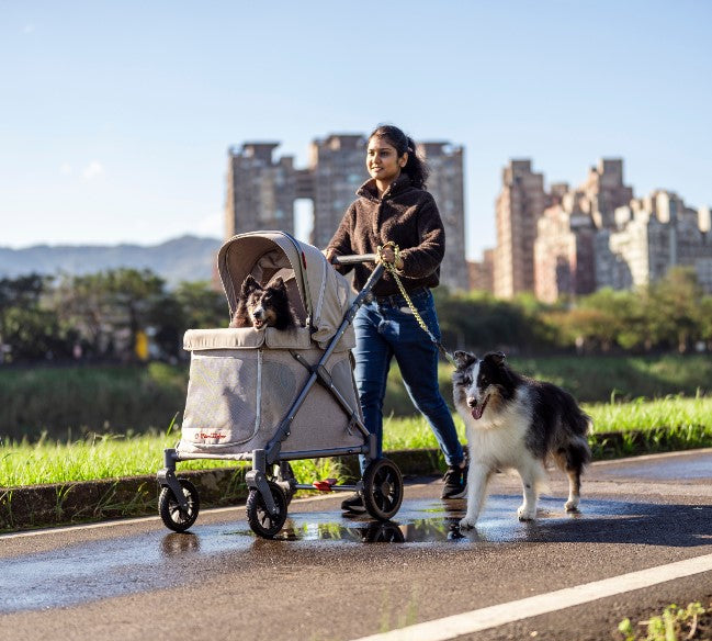 Q1 Multi-Use Wagon