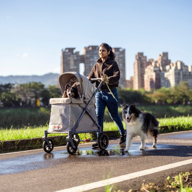 Q1 Multi-Use Wagon