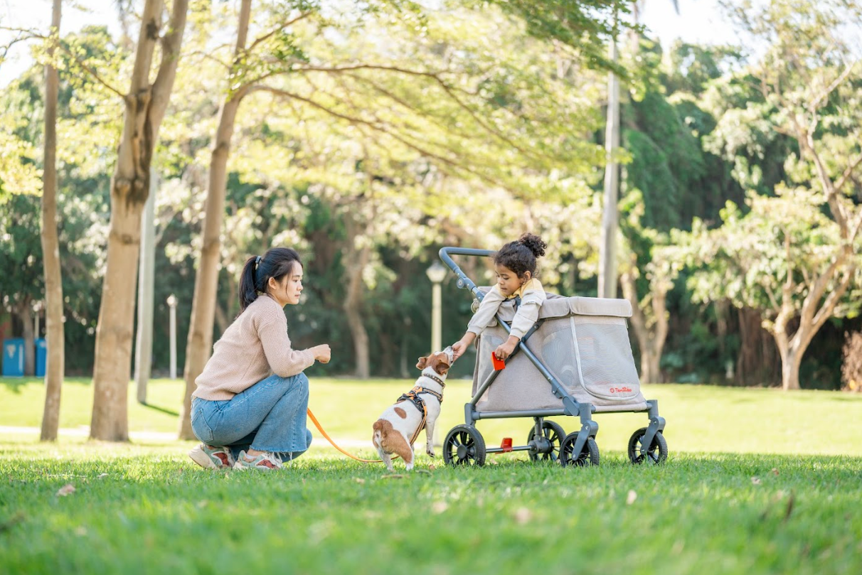 pet stroller wagon