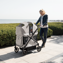 Q2 Stroller Wagon | Ash Rose