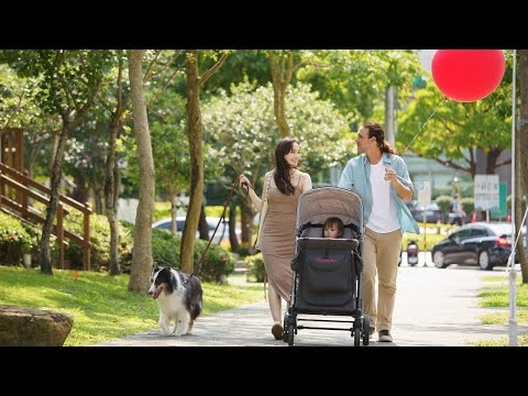Pet and Kids stroller